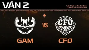 GAM VS CFO