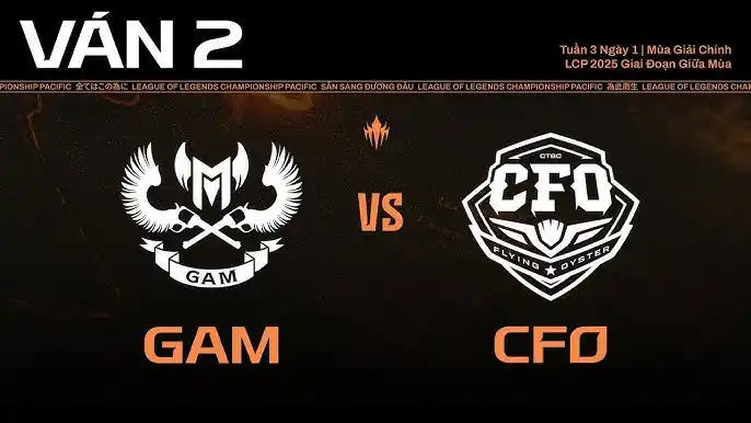 GAM VS CFO